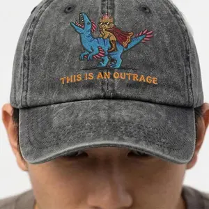 Embroidered Donut Cat and Dino Hat Dungeon Adventure Fantasy Reader Cap