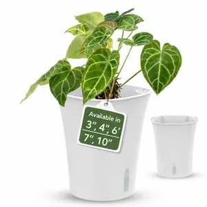 Self Watering Planter with Water Level Indicator | karenplantsplants