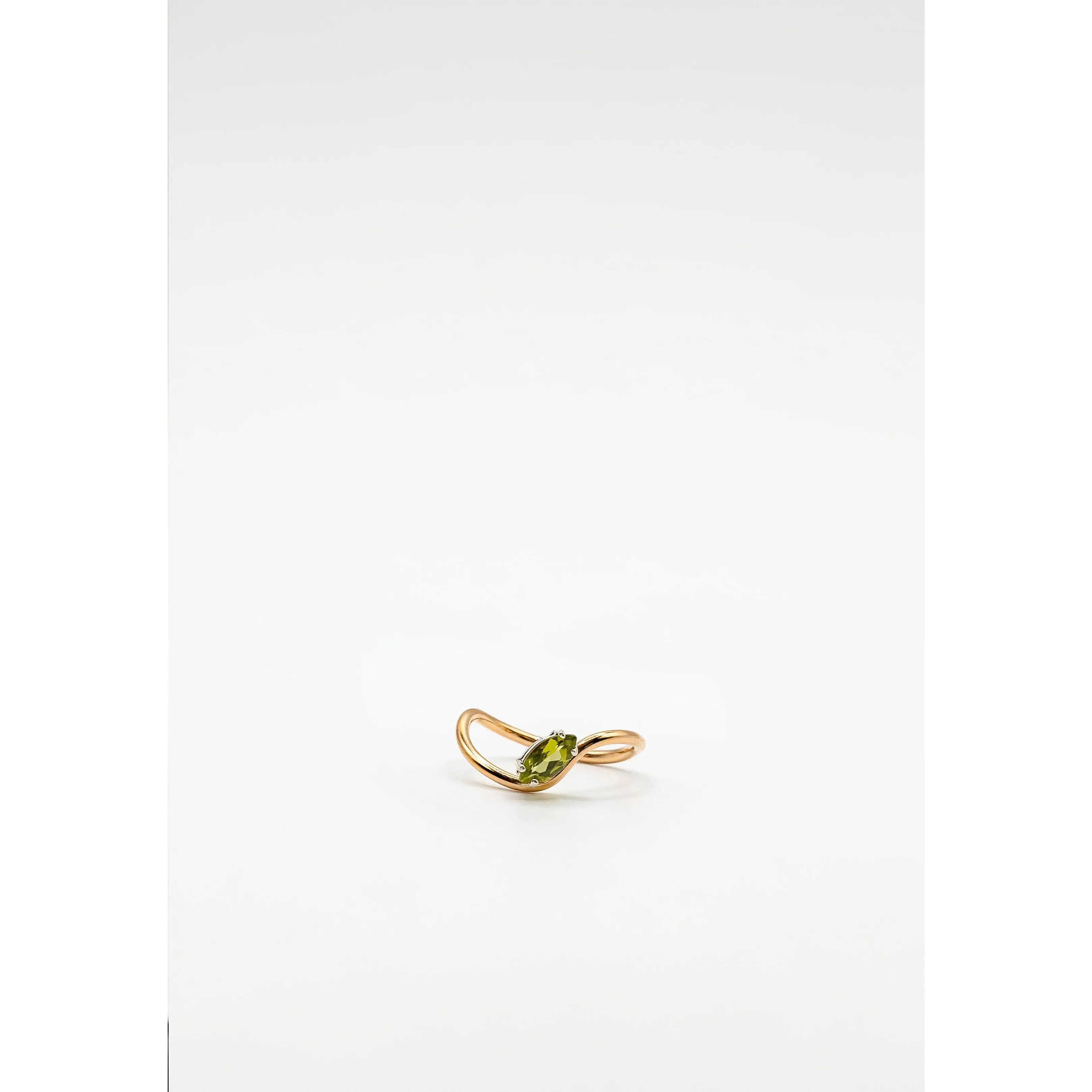 Leo ring Leo ring