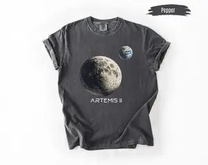 Comfort Colors NASA Space Program Fan Tee, Astronomy Gift