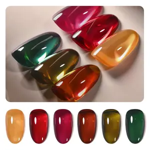 Gaoy Wonder Color Jelly Gel Nail Polish Kit, 6 Transparent Sheer Shades (Black, Red, Hot Pink, Green, Brown) for Salon Manicure & Home Nail Art DIY