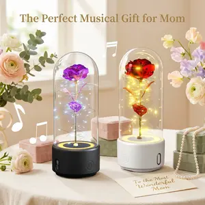 2-in-1 Mother's Day Classic Gifts LED Everlasting Rose Eternal Flower,Romantic Creative Gifts for Women - Valentine's,Day, Birthday, Memorable Dates luxury valentines Gifts for Her