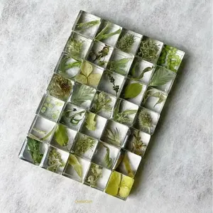 OvalletOoh 10-Pcs Glossy Resin Nature Plant Specimen Magnetic Set, Dried Flower & Leaf Refrigerator Magnets, Home Decor Gift for Indoor Recreation Enthusiasts