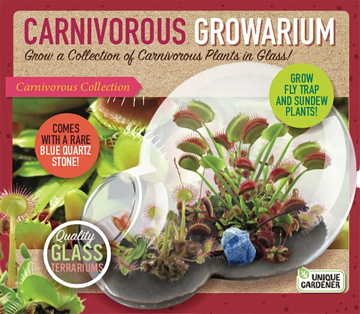 Carnivorous Growarium Meat-Eating Seed Terrarium Kit Carnivorous Growarium Meat-Eating Seed Terrarium Kit