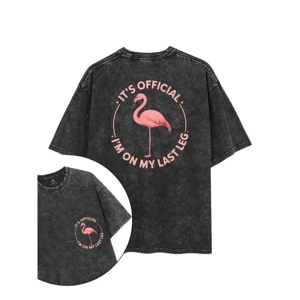 Women's Short-Sleeve Retro Flamingo Quote Washed T-Shirt - Vintage Funny Bird Graphic Top, Loose-Fit Oversized Streetwear, Heavyweight Acid Wash Casual Plain Tee for Gym Fitness, Shortsleeve# versatile short sleeve