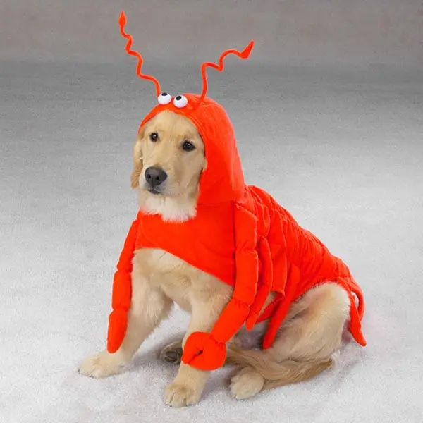 212 MAIN Pet Pals ZA540 Casual Canine Lobster Paws Polyester Soft Fabric Animal Suit Costume - Size 12 Small, Dog Party Outfits for Photo Occasions, Animal Suit Costumes
