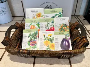 Companion Plant Summer Seed Bundle