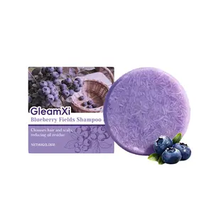 GleamXi Blueberry Garden Shampoo Bar | Gentle Scalp Cleansing, Oil Control & Anti-Itch, Smoothing, Dry & Frizzy Hair Repair, Shiny Hair Care Shampoo Bar