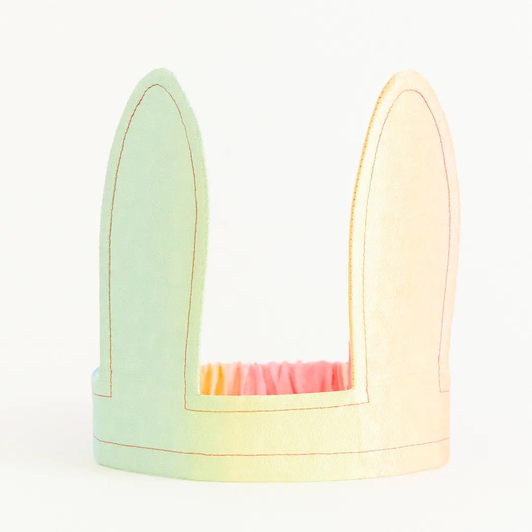 Soft Rainbow Bunny Ears