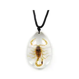 Clear Pendant Necklace with Real Brown Scorpion