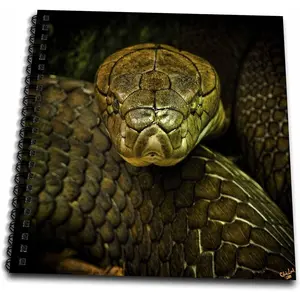 db_55966_2 Cobra Snake Green Coiled-Memory Book, 12 by 12"