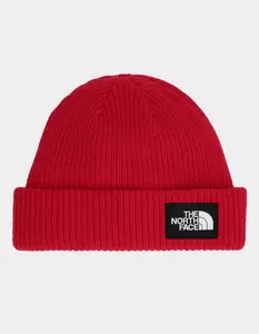 THE NORTH FACE  Mens Salty Lined Beanie