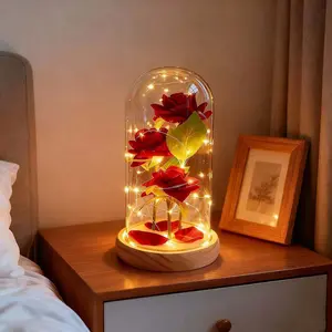 Glass Red Rose Birthday Gifts for Women Mom Girlfriend Eternal Rose Flower Gift Light Up Red Rose in Glass Dome Rose Gifts for Mothers Day Birthday Valentines