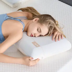 EGOHOME Memory Foam Pillow 26x16 Inches Double-Core Patent Design Wash Free Relaxation Rejuvenated for Side, Stomach & Back Sleepers