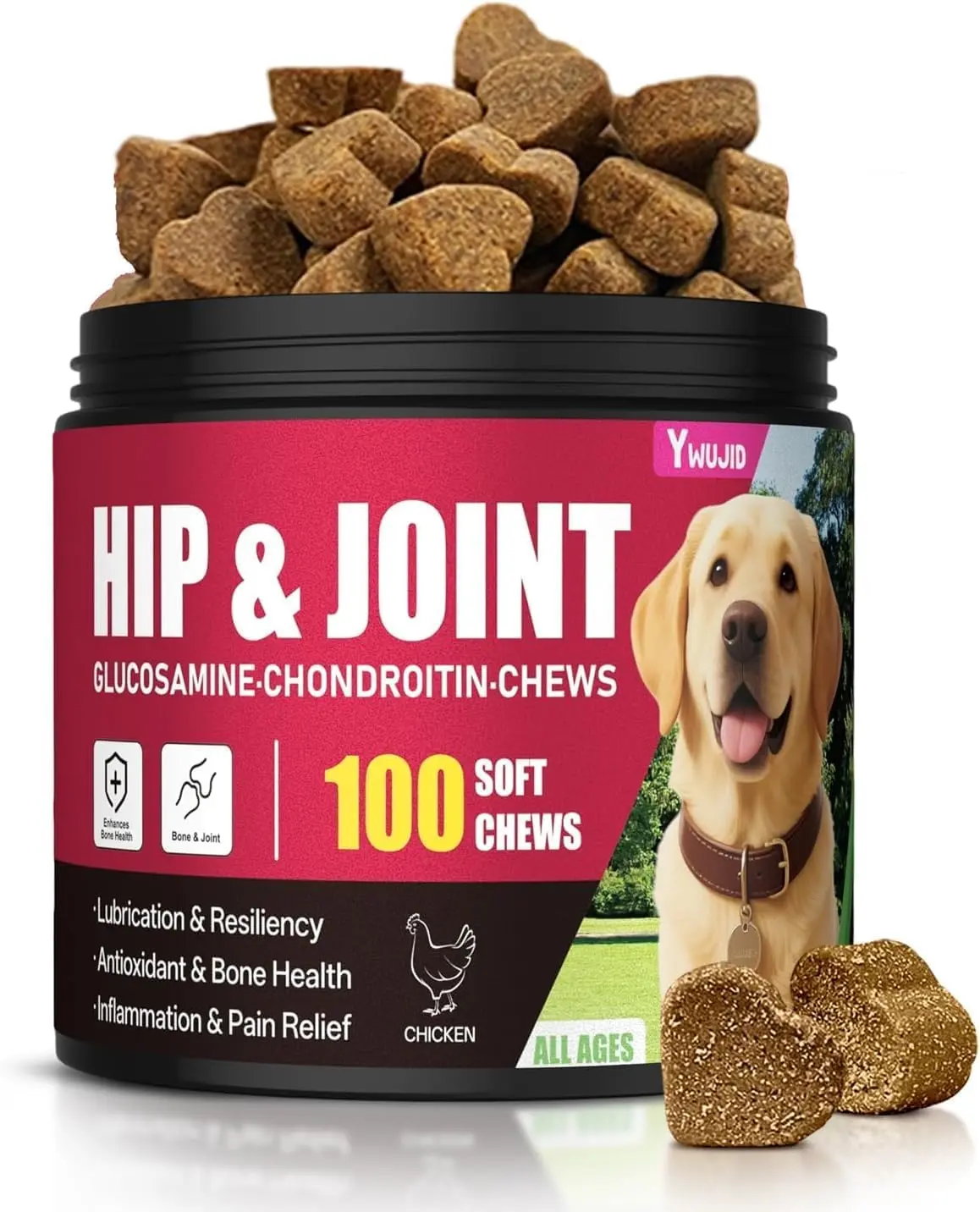 Advanced Dog Hip and Joint Supplement with Glucosamine, Chondroitin, Omega 3, MSM, and Green Lipped Mussel, 30 Pork Flavored Chews for Small and Medium Dog Breeds