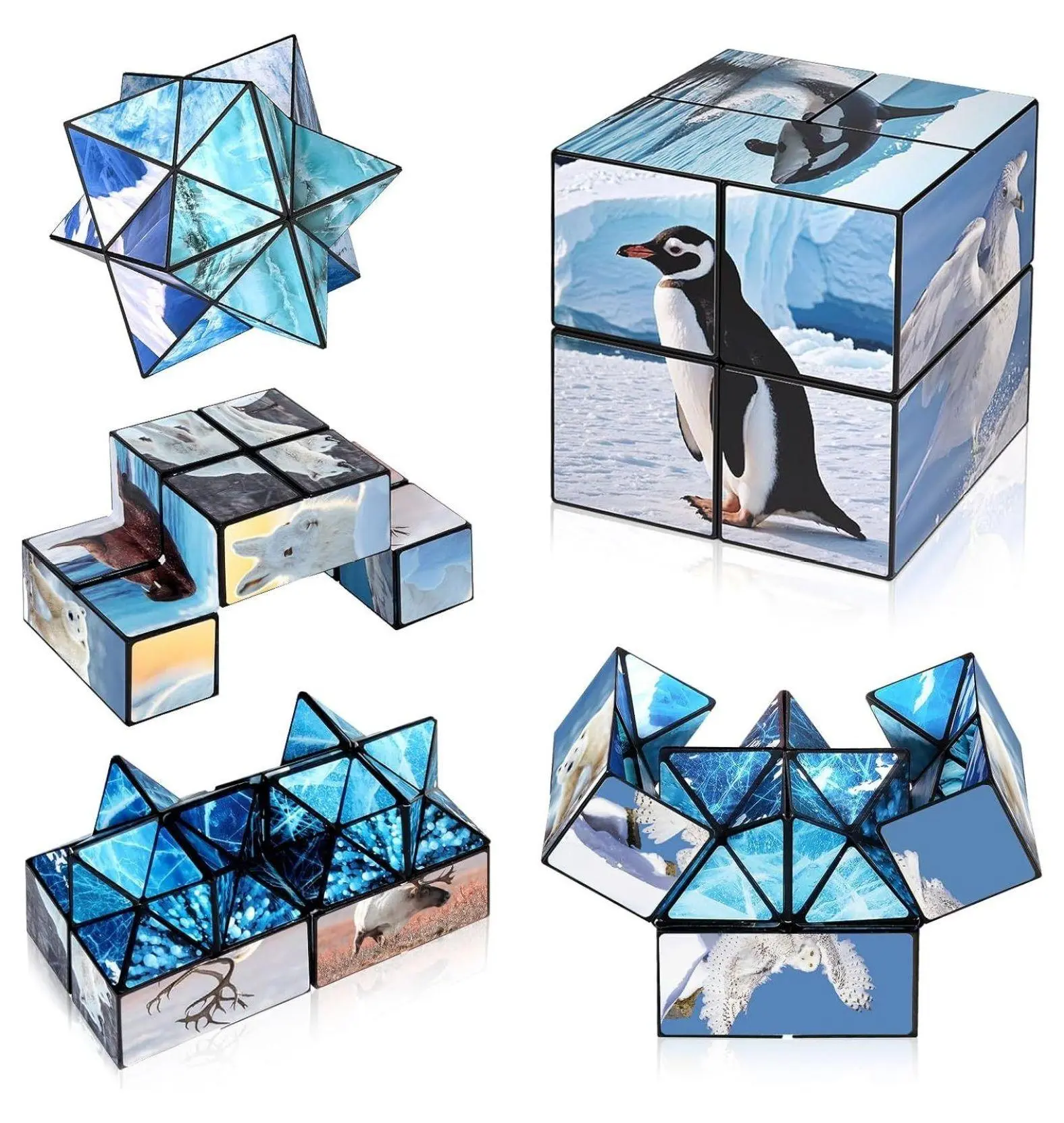 Plastic 2x2 Cube & 3x3 56mm Speed Cube Set Bundle - 80-100g Each, Smooth Turning, Anti-Pop, Stress Relief Brain Teaser Educational Puzzle Toys for Teens - Colorful Polar Animals Dog & Cat Furniture House, Abs Plastic