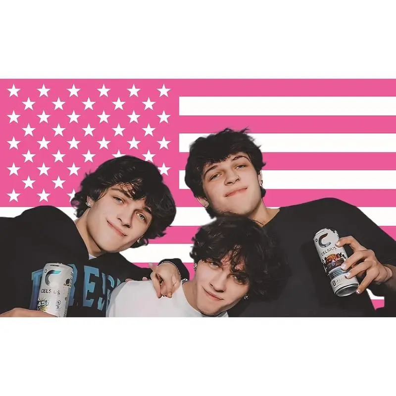 MAGJIUKE Sturniolo American Triplets Tapestry - Pink Chris,Matt,Nick Sturnio USA Wall Hanging Decor For  And Living Room Bedroom Modern Stripe Design bedroom decor tapestry mens room decor bedroom decorations cool stuff for your bedroom tiktokshopspri