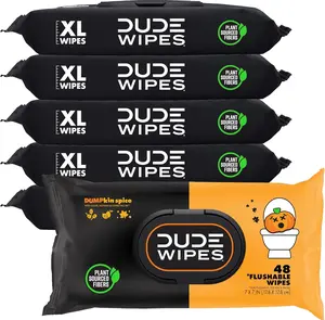 DUDE Wipes - Flushable Wipes - 6 Pack, 288 Wipes - DUMPkin Spice with Clove, Nutmeg, and Other Fall Scents - Septic and Sewer Safe