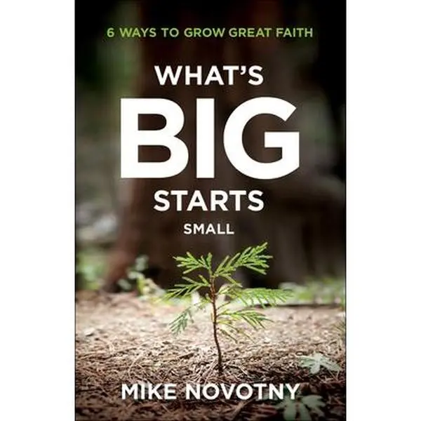 USED-What's Big Starts Small: 6 Ways to Grow Great Faith by Novotny, Mike (Paperback)