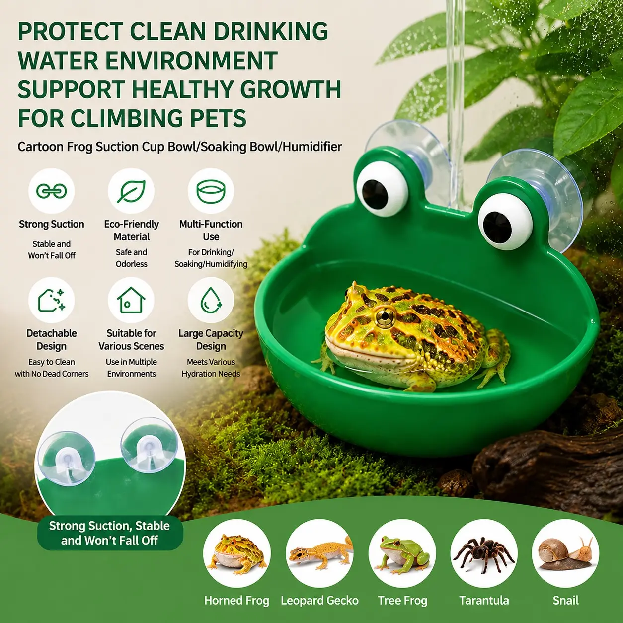Frog Suction Bowl for Reptiles and Amphibians, Feeding, Soaking, Humidifier Function, Feeder, Equipped with Two Strong Suction Cups