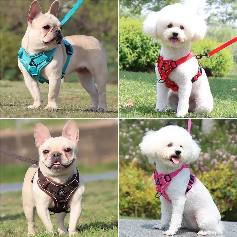 Customized Padded Quick Release Harness & Leash Set for Small Dogs - Polyester, Detachable, Lighted Pet Pectoral Collar Accessories, 38~46cm/42~52cm Sizes, Ideal for French Bulldog, Collars & Harnesses & Leads Pet Supplies