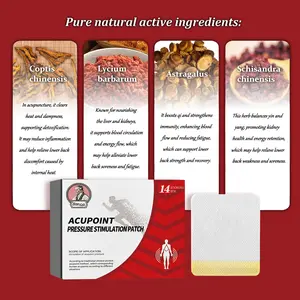 2 Boxes Hua Tang Xiao Acupoint Pressure Stickers 14pcs/Box – Acupoint Stimulation & Blood Sugar Control – 2-Box Value Pack for Ongoing Relief and Savings