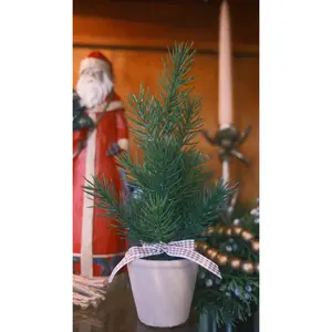 Mini Potted Pine Tree