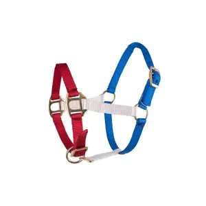 Red, White, and Blue nylon halter with brass hardware- Mini / Foal Size