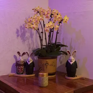 Beige Celadon Porcelain Stash Jar – Ceramic Storage Container