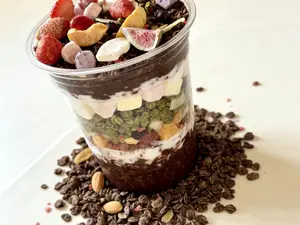 Chocolate Flavor Granola with Delicious Crunchy Freeze-Dried Fruits-6 Packs,12 kinds of Delicious Dried Fruits, Strawberries, Figs, Blueberries, Mangos, Peaches, Apples,  almonds, Coconut Flakes, Dried Yogurt Bites⋯⋯