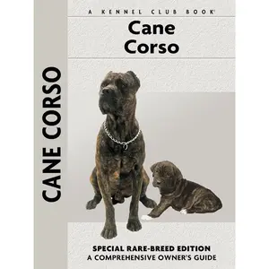 Cane Corso