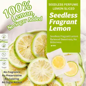 Premium Freeze-Dried Lemon Slices 100% Natural No Sugar Added Gourmet Citrus Garnish for Cocktails Mocktails Infused Water Baking Tea - Flavor, Fruit