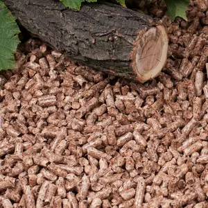 Renais Wood Pellet Cat Litter - Natural and Eco-Friendly