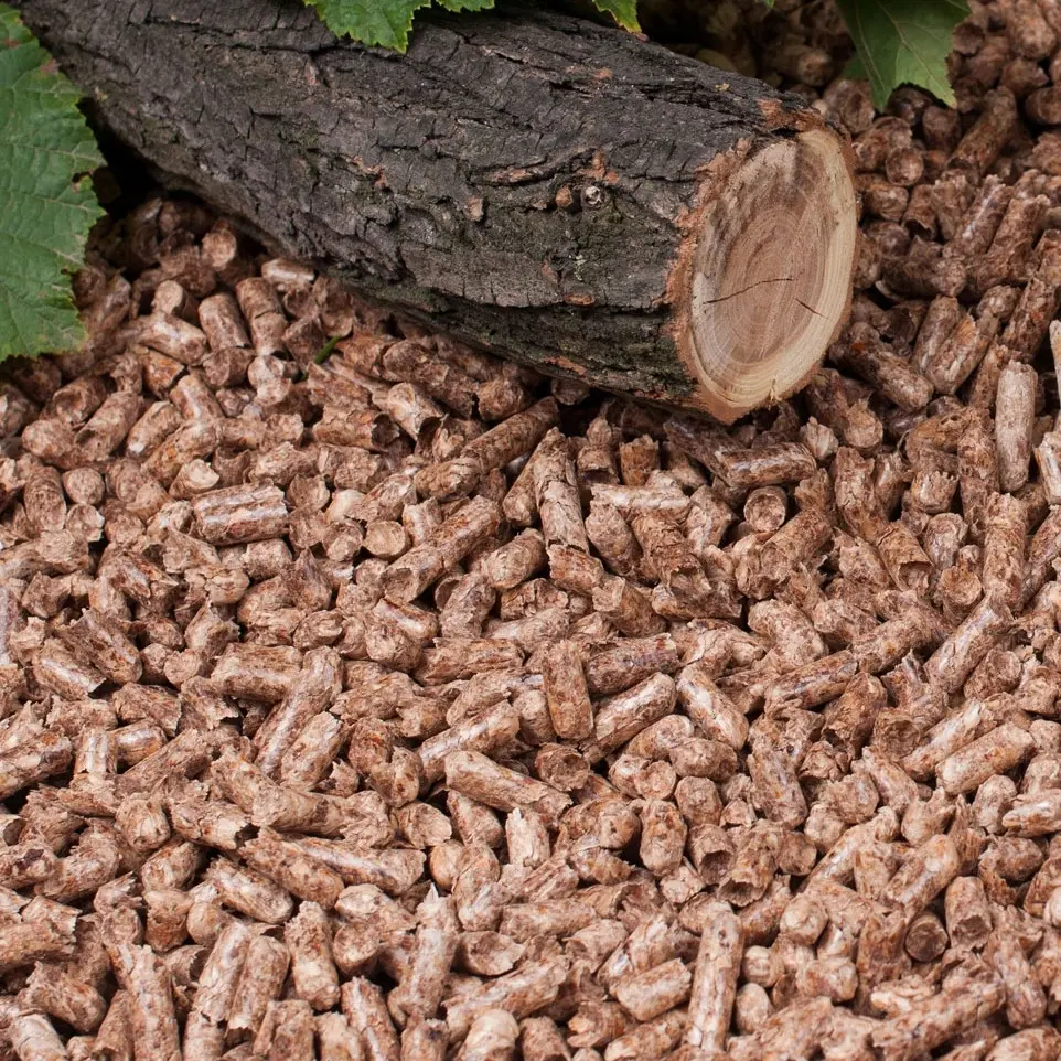 Renais Wood Pellet Cat Litter - Natural and Eco-Friendly