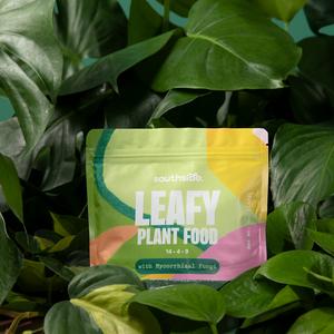 leafy plant food - complete, gentle houseplant fertilizer with mycorrhizal fungi for nutrient update and houseplant health