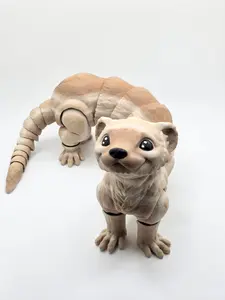 Ferret