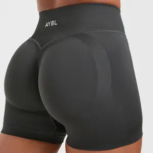 (With Logo) A.Y.B.L Adapt Seamless Gym Shorts With Logo Women's Mid-Rise V Back Waistband Engineered Scrunch Knit 49% Polyester 42% Nylon 9% Elastane True Fit Fitness Workout Yoga Running