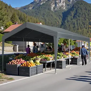 12X20FT  Carport Car Port Canopy Grey without Sidewalls(Using high-quality and premium materials),Waterproof and UV resistant,firm,awnings,sunshade,seek shelter from the rain,Prevent exposure to direct sunlight