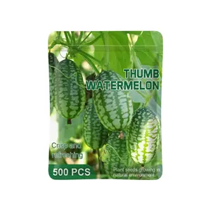 500pcs Cucamelon Seeds - Experience the Taste of Mexican Sour Gherkin Mini Thumb Watermelons in Your Home Garden