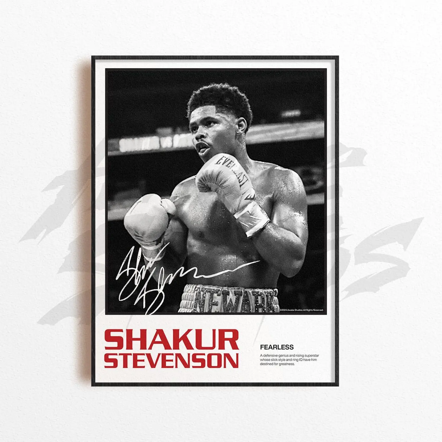 Shakur Stevenson Art Print, Boxing Art Print, Boxing Arts Wall Decor, Home Gym Decoration, Sports Gift, Boxing Fighter Poster