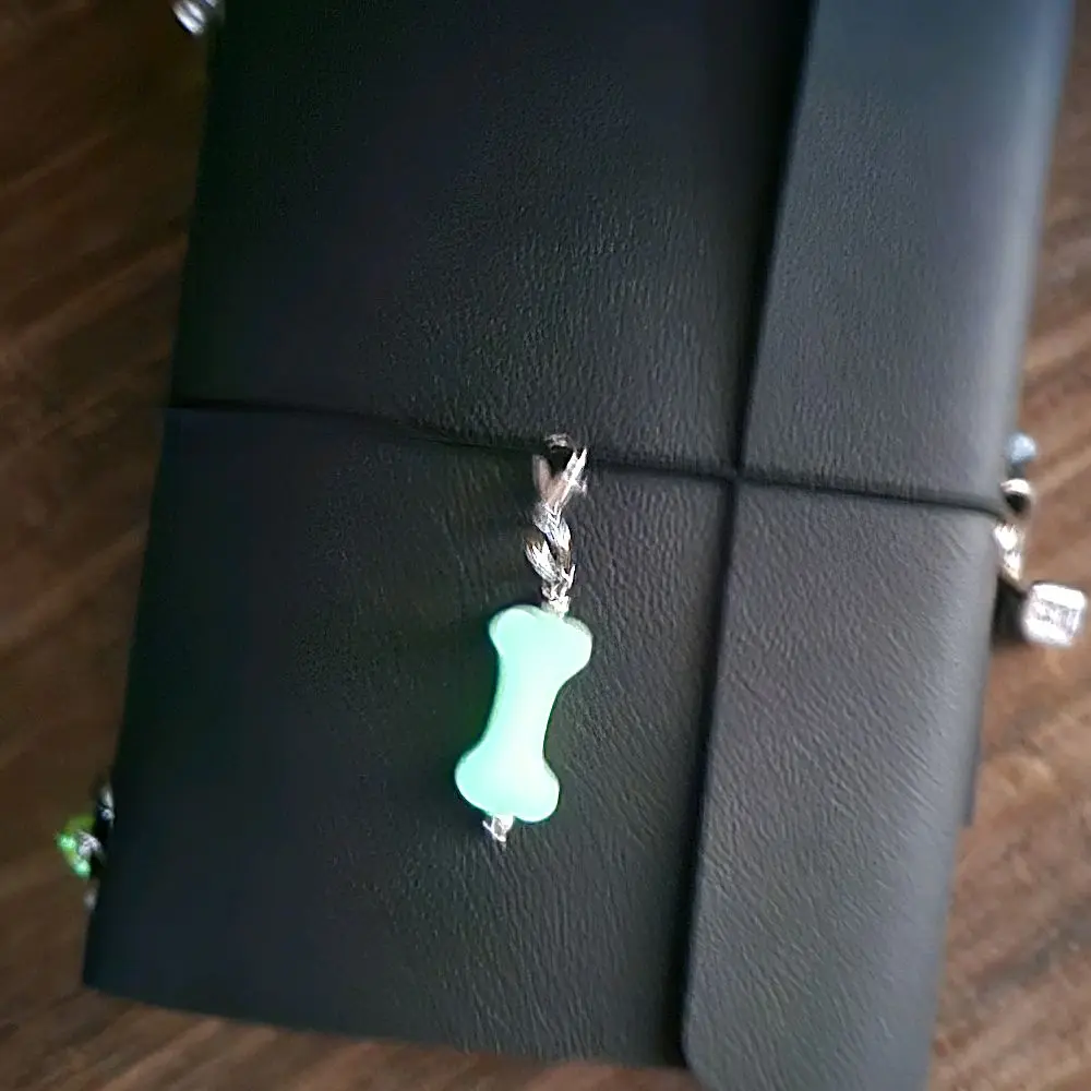 Bohemian Trinkets Bone in the Dark Journal/Bag Charm