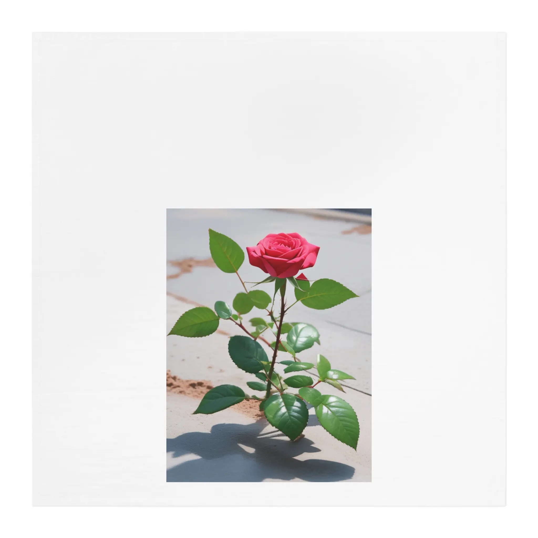 Elegant Floral Tea Towel with Pink Rose Design, Kitchen Decor, Gift for Garden Lovers, Home Styling, Housewarming, Mother's Day
