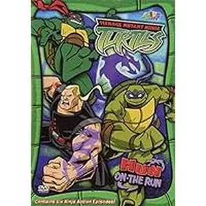 USED-Teenage Mutant Ninja Turtles: Season 3, Volume 6 - Hun on the Run (DVD)