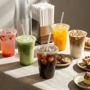 100 Pack 12–24oz Clear PET Cups with Lids & Straws | Stackable BPA-Free Iced Coffee Disposable Cups