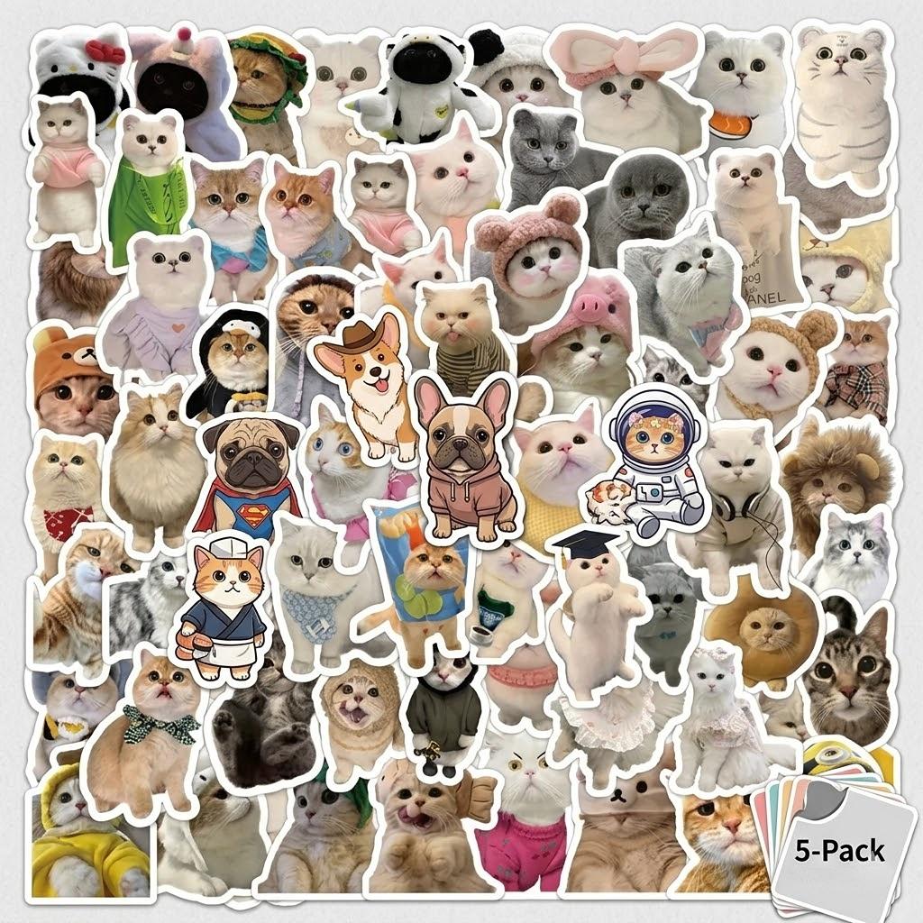 Random Sticker Pack 5pcs Surprise Stickers Set Cute Aesthetic Vinyl Stickers for Phone Laptop Water Bottle DIY Gift