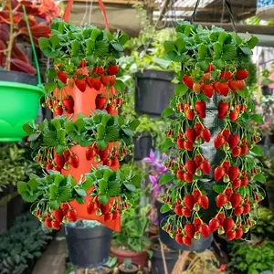 Hanging strawberry planting bag, 8 planting openings, vertical vegetable planting bag, suitable for outdoor courtyard, tear-resistant plant planting bag.