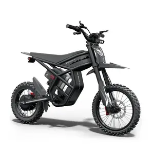 Riding'times GT54 Pro Electric Bike
