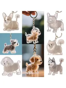 Keychain Keyring Pendant Pet Hair Storage Box, High Value Memorial Keepsake Holder, Transparent Dog Cat Fur Collection Case Gift, Stylish Keychain, Trendy Cute Keychain