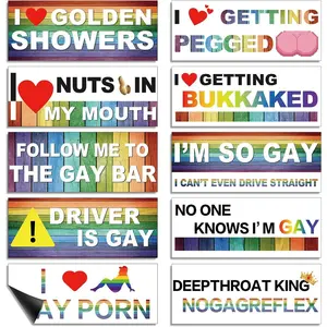 10Pcs Funny LGBT Rainbow Magnetic Bumper Stickers | Classic Prank Car Decals, Colorful Decor for Car, Truck, Luggage, Window & Refrigerator