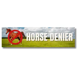 Horse Denier Car Magnet, Gen z satire, Funny bumper Magnet, Car Decor, Gifts for New Driver